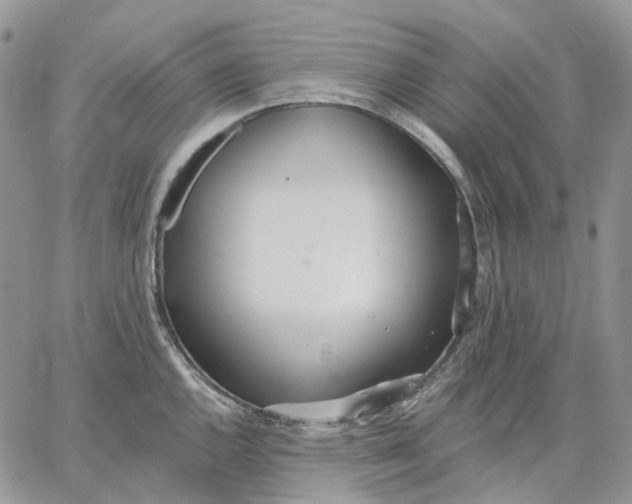 X0000062841144200602031555