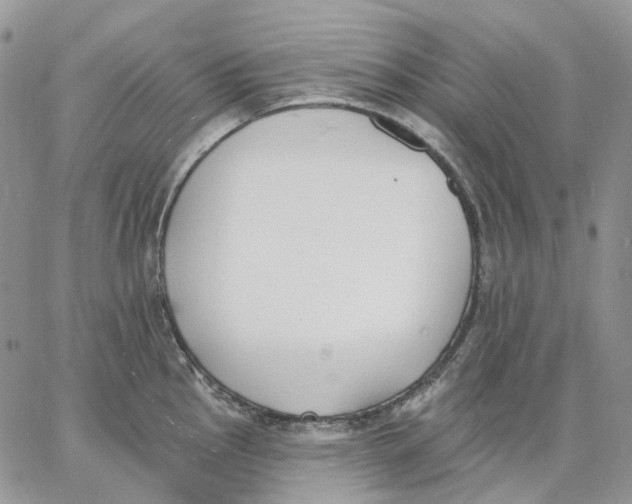 X0000062841145200602031555