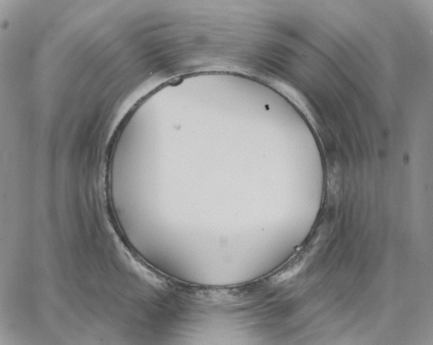 X0000062841149200602031555