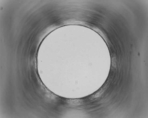 X0000062841150200602031555