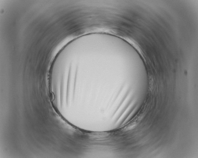 X0000062841151200602031555