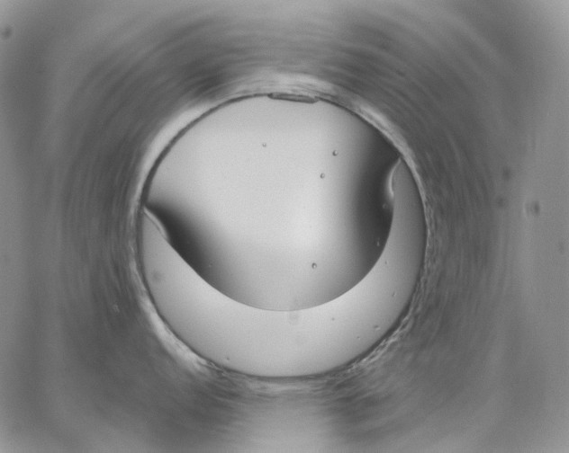 X0000062841152200602031555