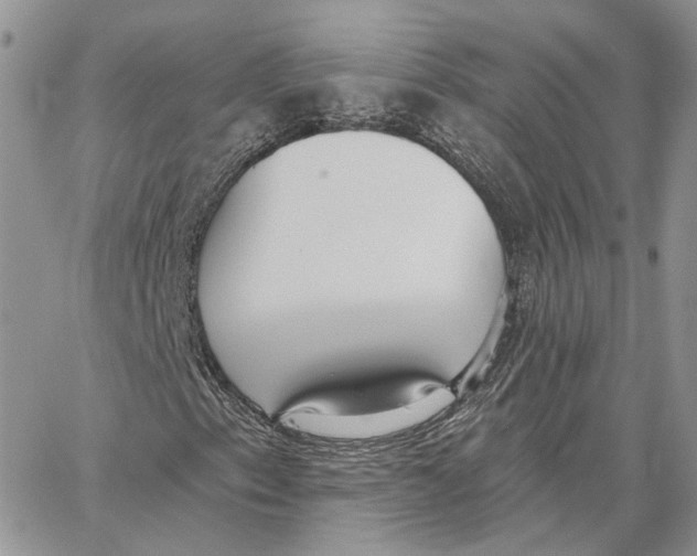 X0000062841153200602031555