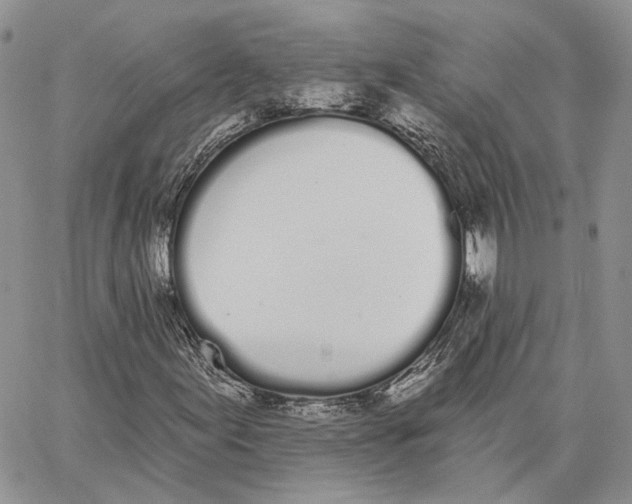 X0000062841155200602031555