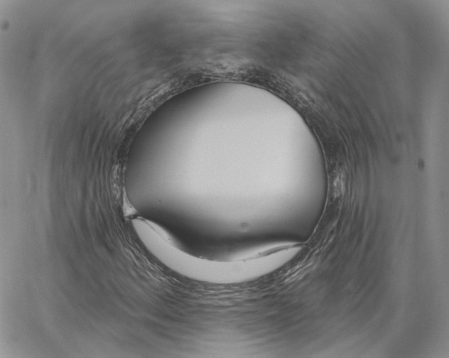 X0000062841156200602031555