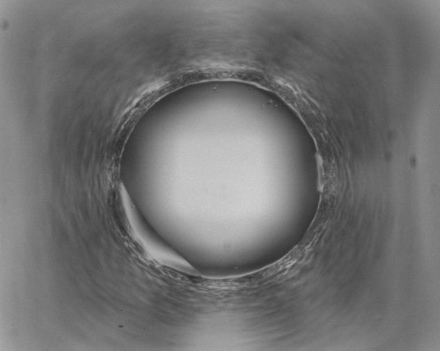 X0000062841157200602031555