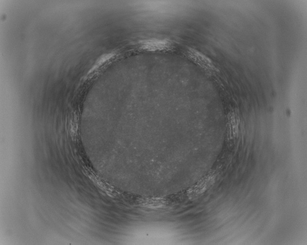 X0000062841158200602031555