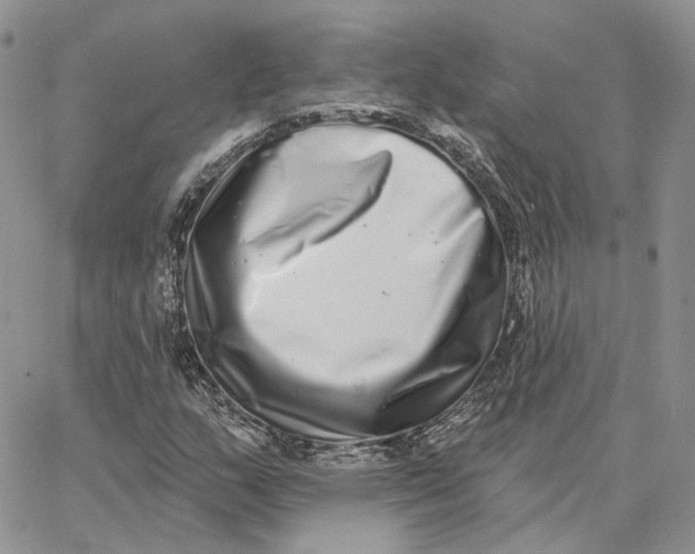 X0000062841159200602031555