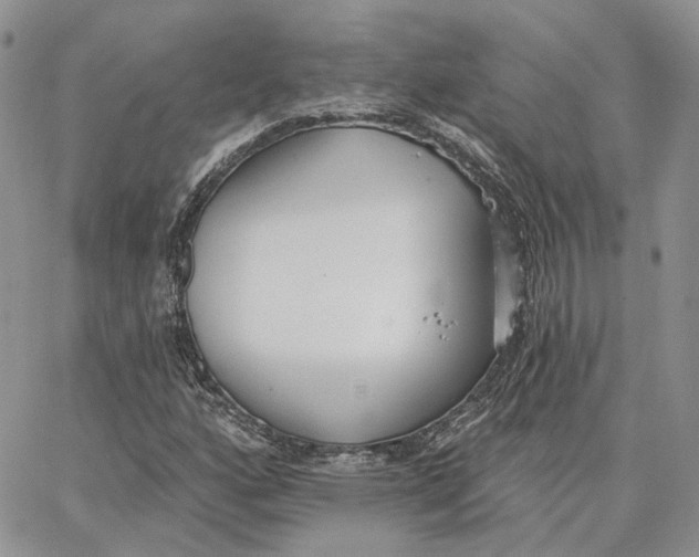 X0000062841160200602031555