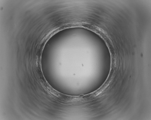 X0000062841161200602031555