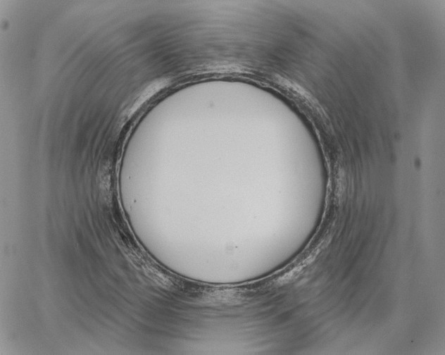 X0000062841162200602031555