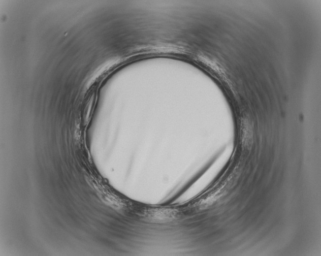 X0000062841163200602031555