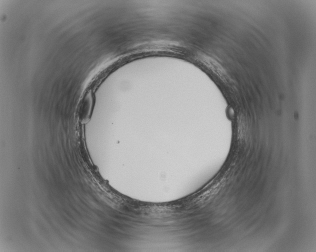 X0000062841164200602031555