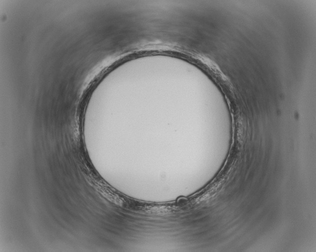 X0000062841167200602031554