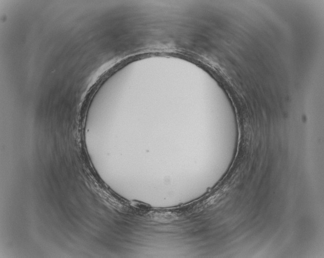 X0000062841168200602031554