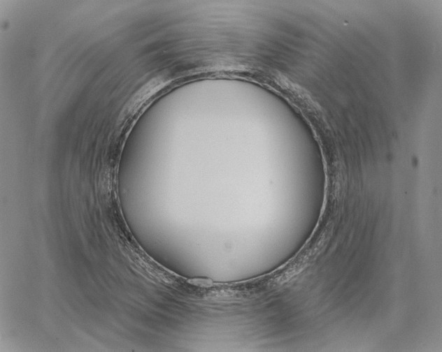 X0000062841169200602031554