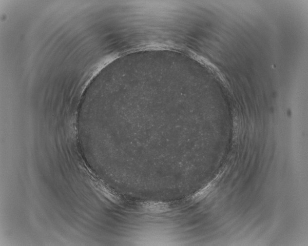 X0000062841170200602031554