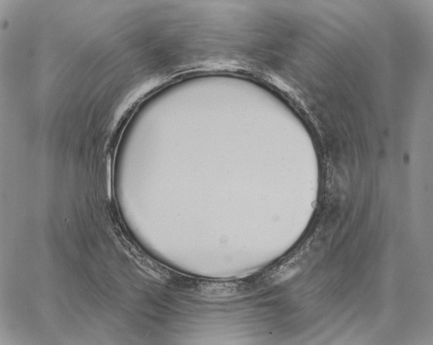 X0000062841171200602031554