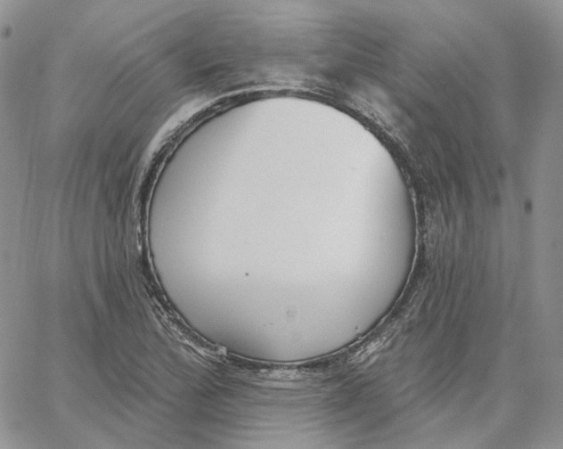 X0000062841172200602031554