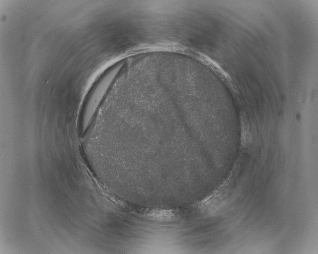 X0000062841174200602031554