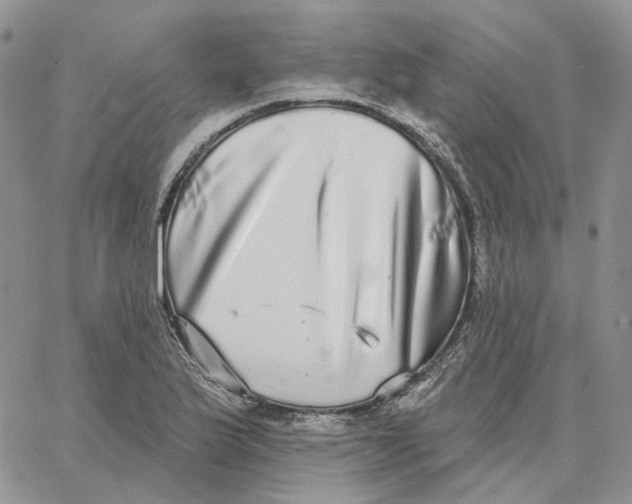 X0000062841175200602031554