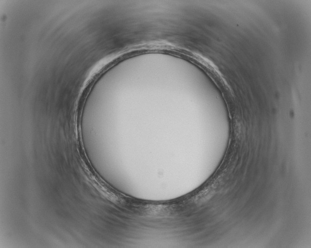 X0000062841176200602031554