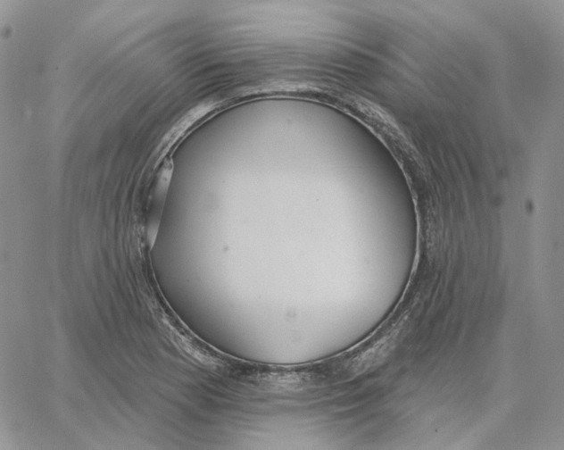 X0000062841177200602031554