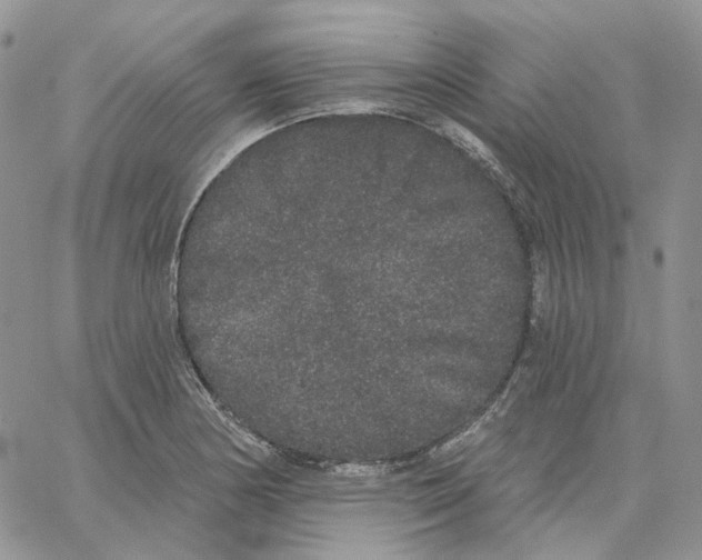 X0000062841178200602031554