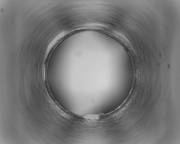 X0000062841180200602031554