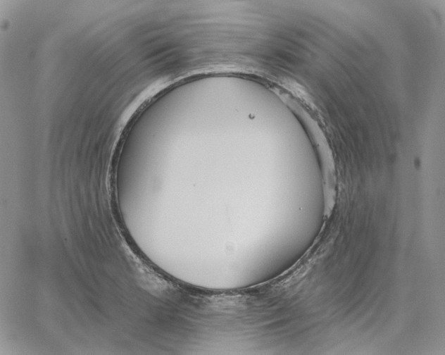 X0000062841181200602031554