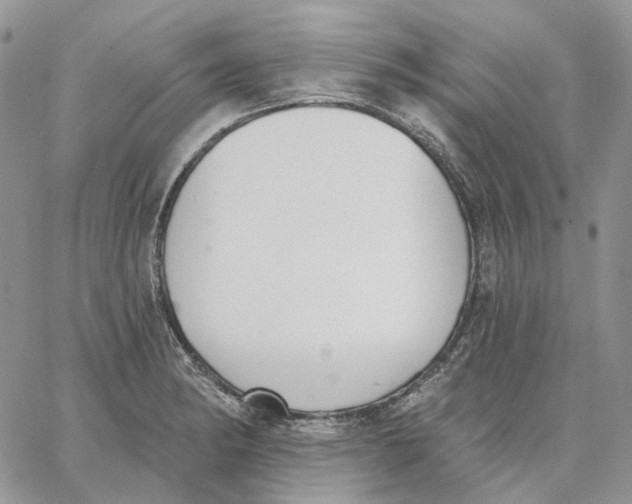 X0000062841182200602031554