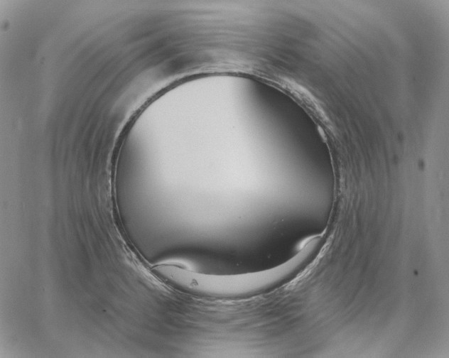 X0000062841184200602031554