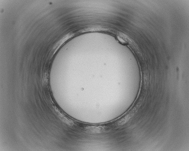 X0000062841185200602031554