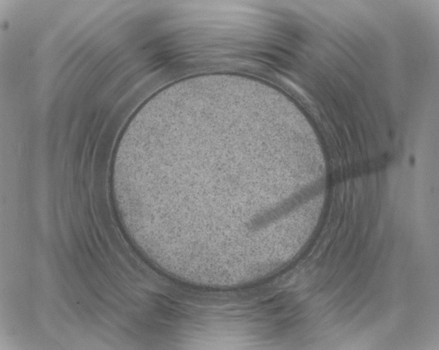 X0000062841186200602031554