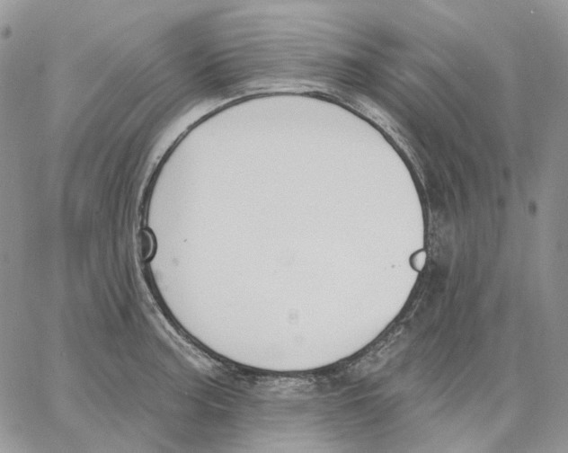 X0000062841187200602031554