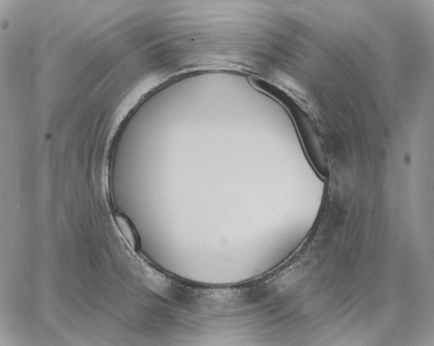 X0000062841188200602031554