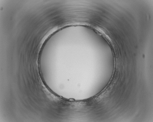 X0000062841189200602031554