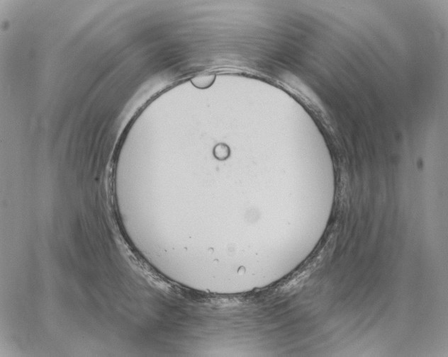 X0000062841190200602031554