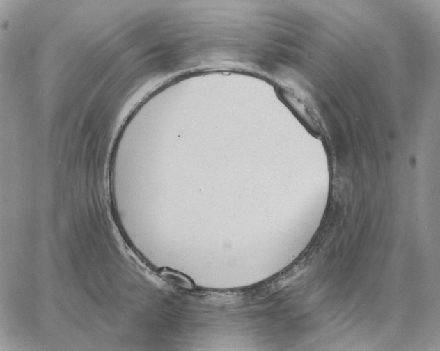 X0000062841191200602031554