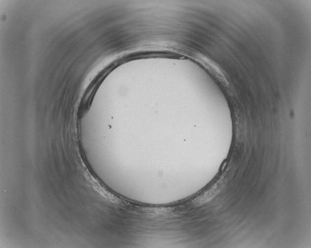 X0000062841192200602031554