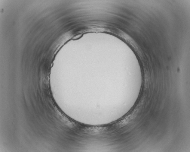 X0000062841193200602031554