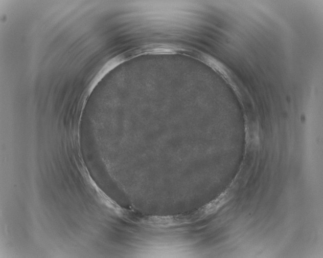 X0000062841194200602031554