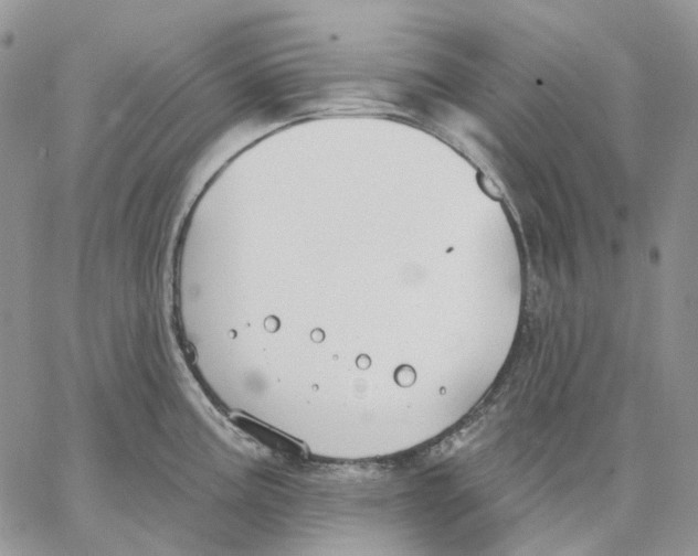 X0000062841195200602031554