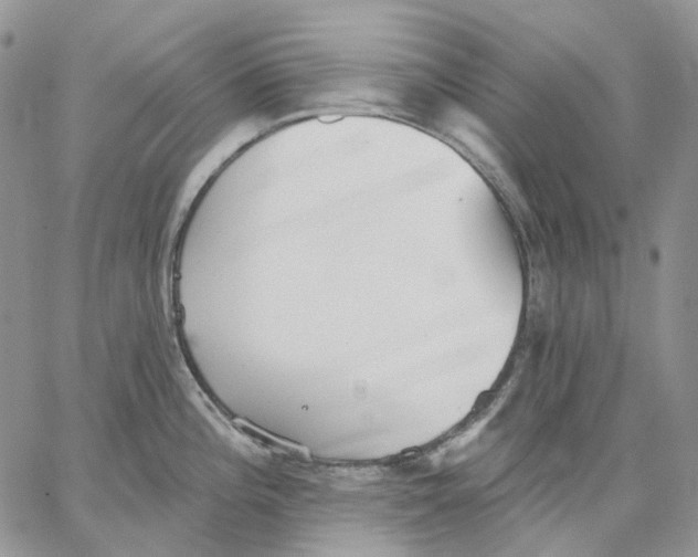 X0000062841196200602031554