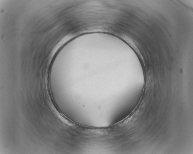 X0000062841197200602031554