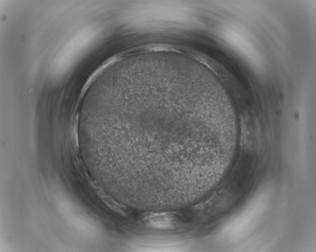 X0000062841198200602031554