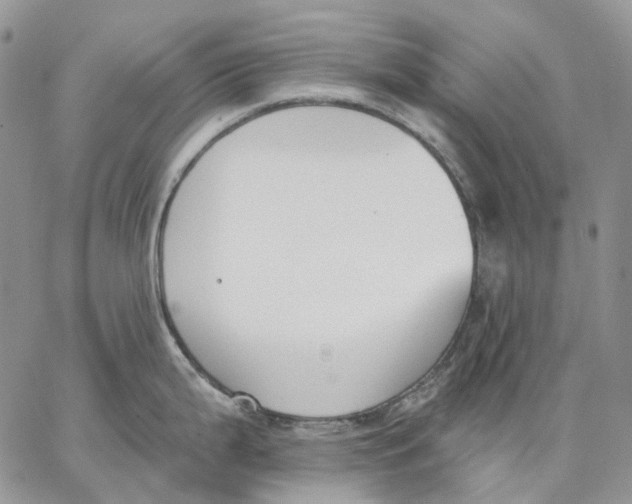 X0000062841199200602031554