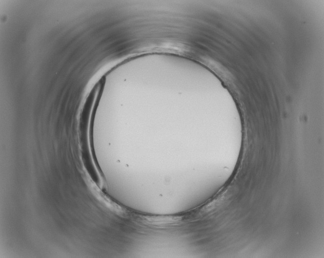 X0000062841200200602031554