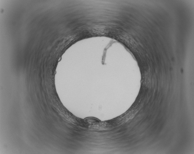 X0000062841201200602031553