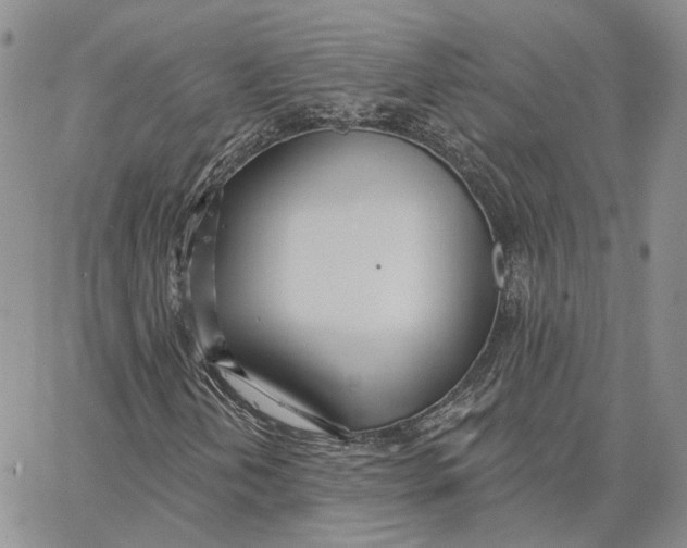 X0000062841202200602031553